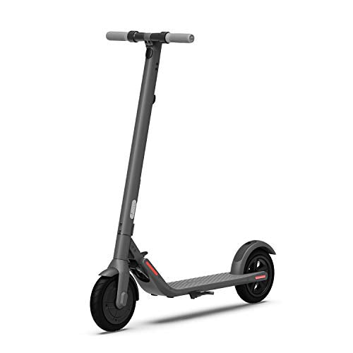 Segway Ninebot E22 E45 Electric Kick Scooter, Lightweight and Foldable, Upgraded Motor Power