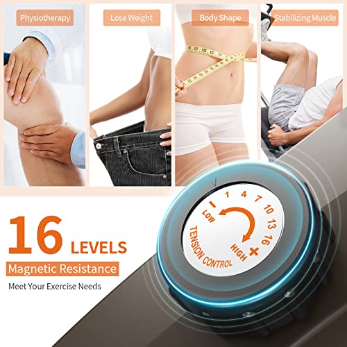 Niceday Indoor Recumbent Exercise Bike Workout Equipment for Home Gym 400LBS Weight Capacity